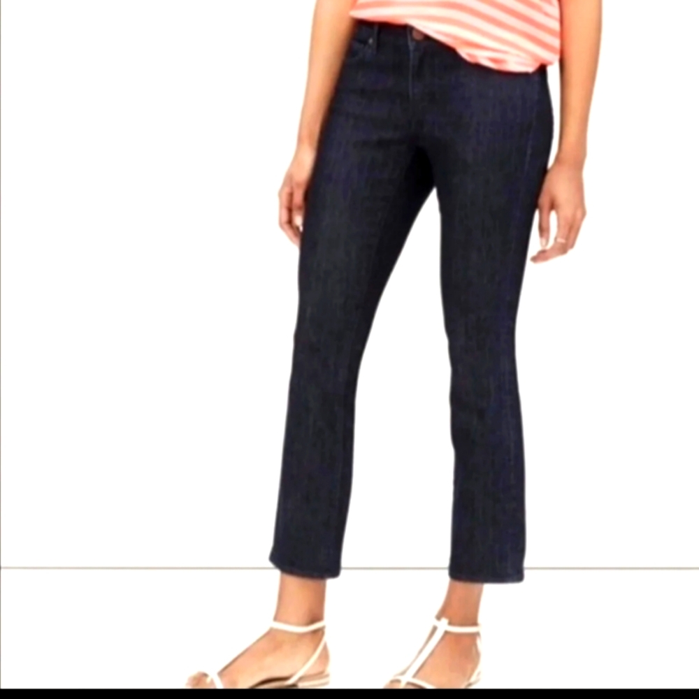 Ann Taylor Loft Curvy Crop Capri Pants Size 27  NWOT